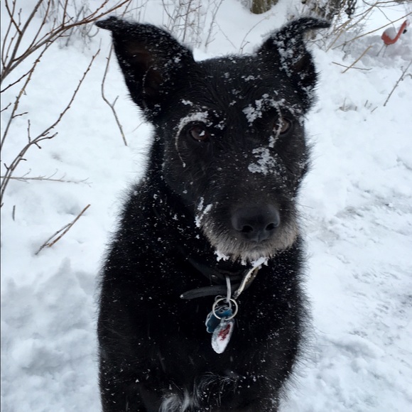 Meet your Posher, Christine - Picture 3 of 10